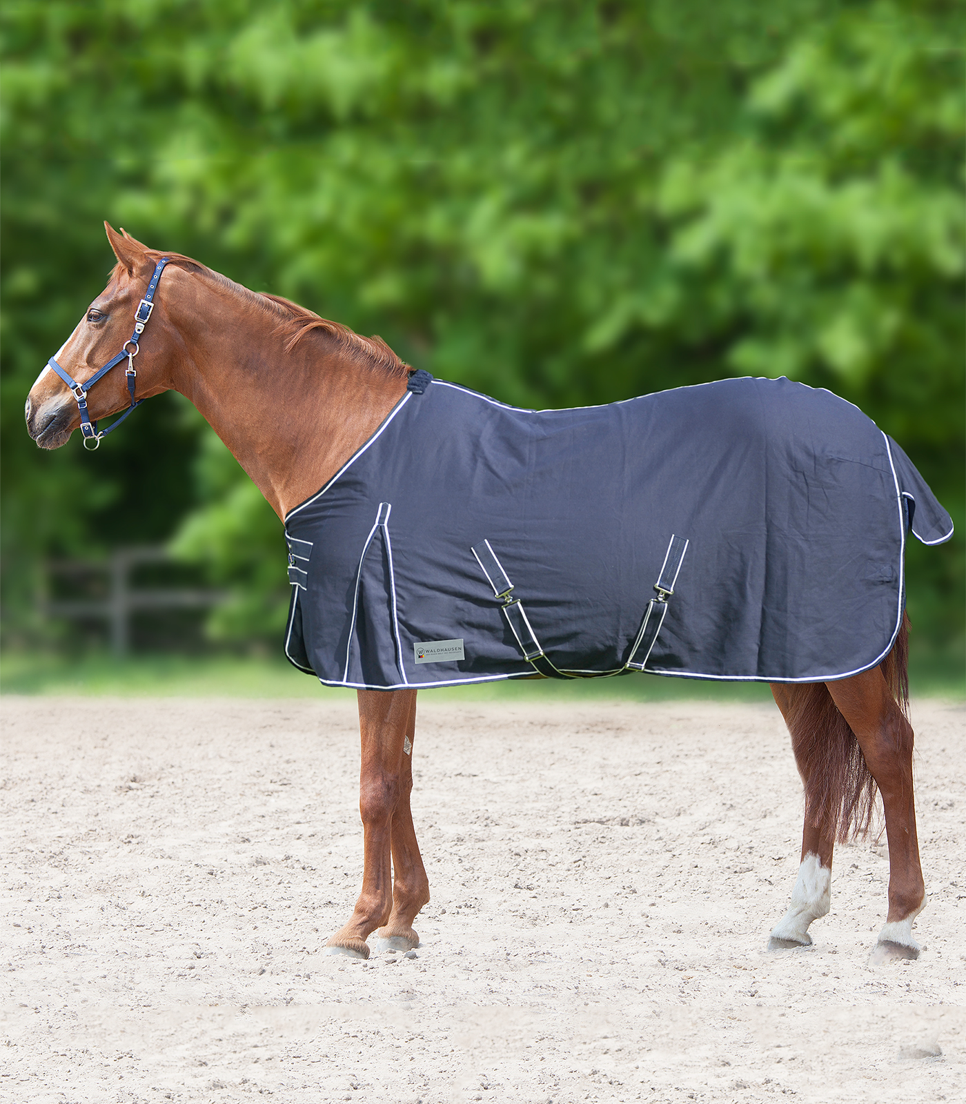 Waldhausen COMFORT Stall- und Sommerdecke Waldhausen COMFORT Stall- und Sommerdecke
