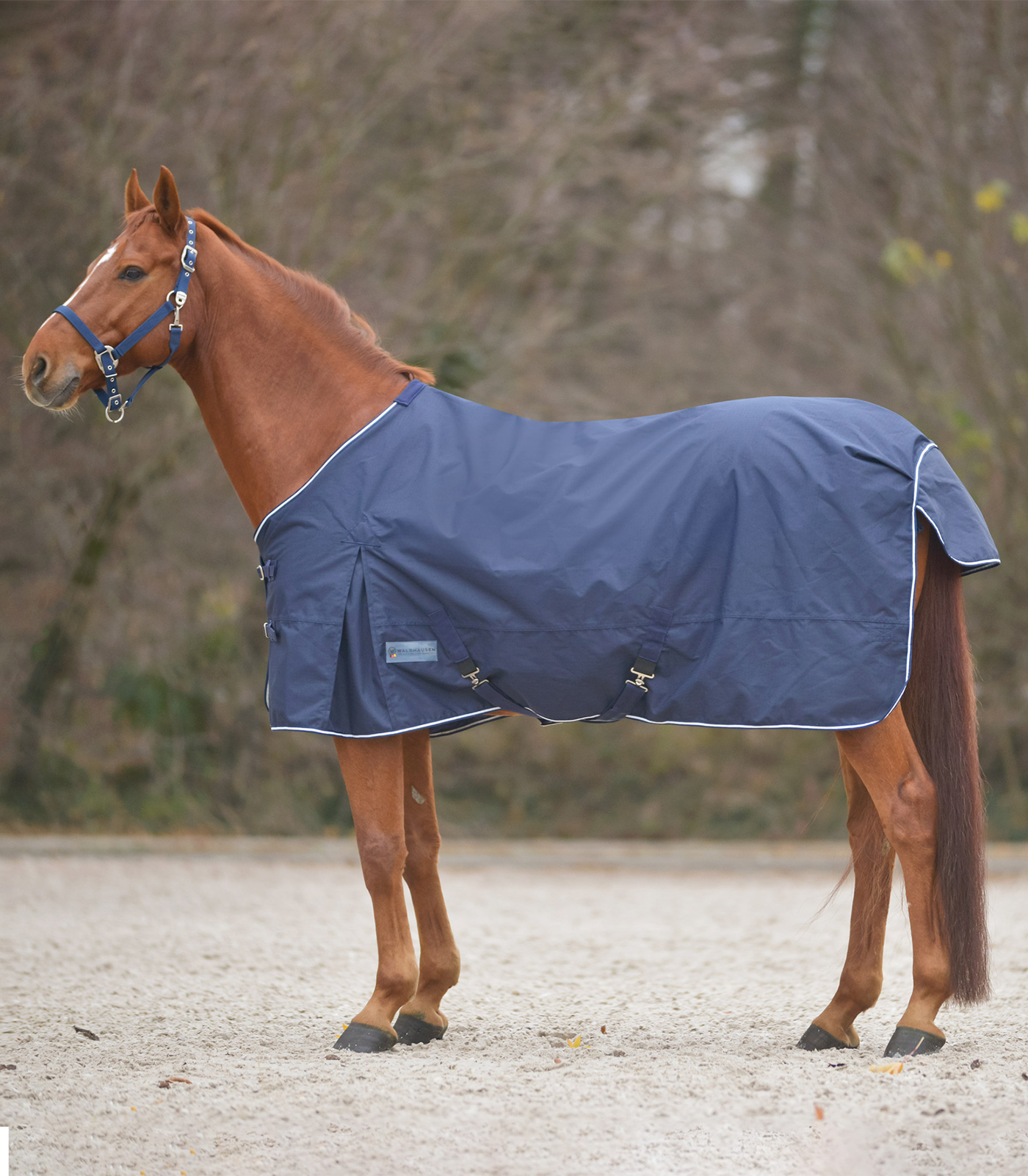 Waldhausen COMFORT Regendecke mit Kreuzbegurtung Waldhausen COMFORT Regendecke mit Kreuzbegurtung
