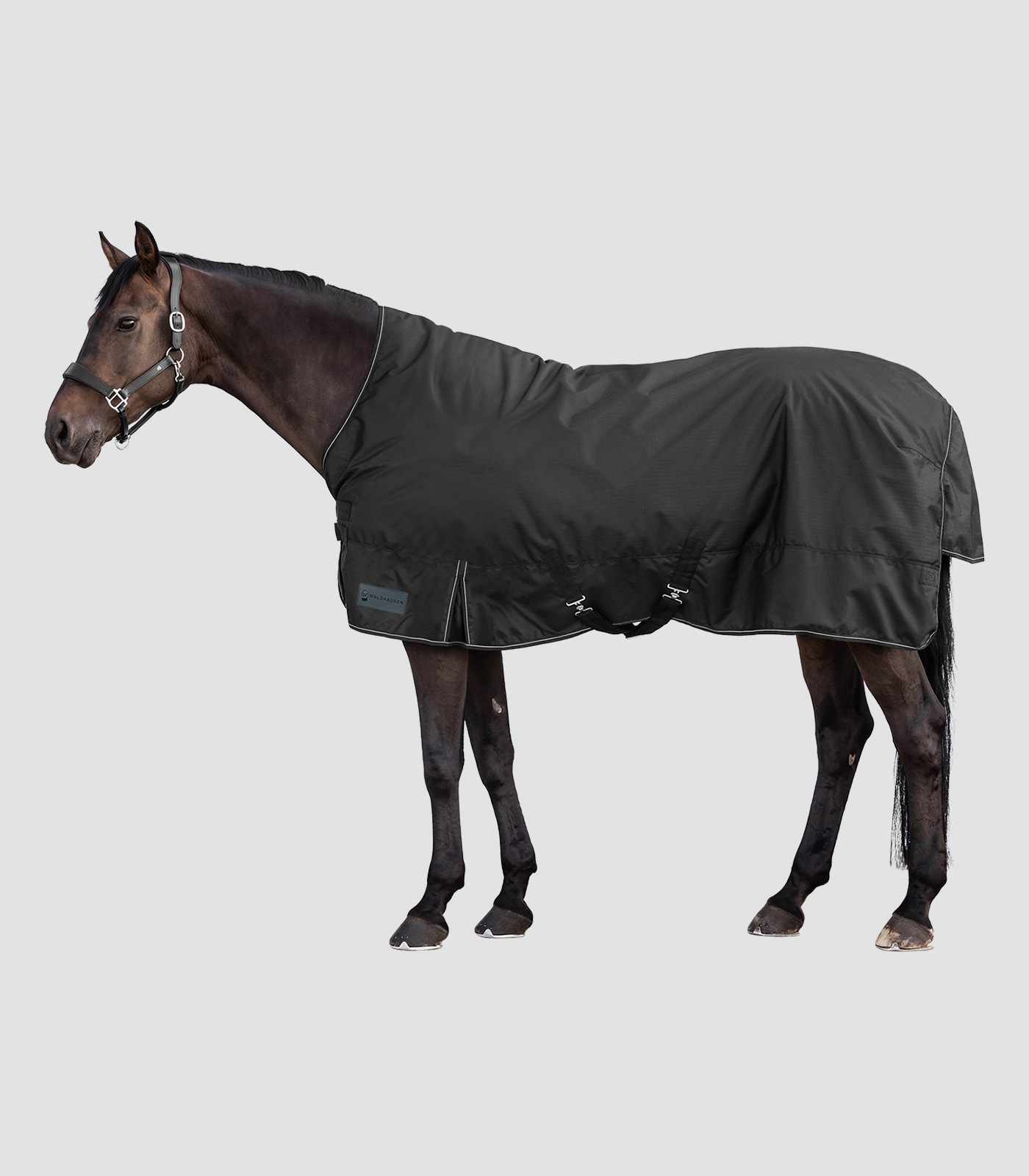 Waldhausen NORDIC Outdoordecke, High Neck, 200 g Waldhausen NORDIC Outdoordecke, High Neck, 200 g