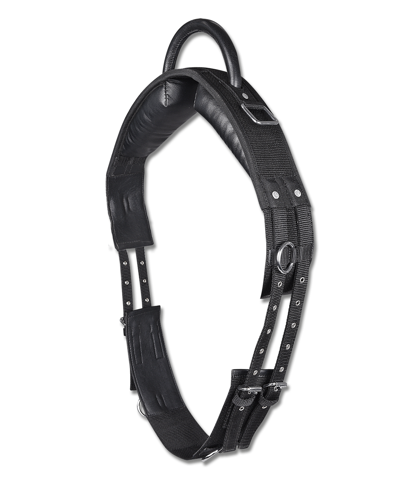 Waldhausen Longiergurt mit Handgriff Waldhausen Longiergurt mit Handgriff