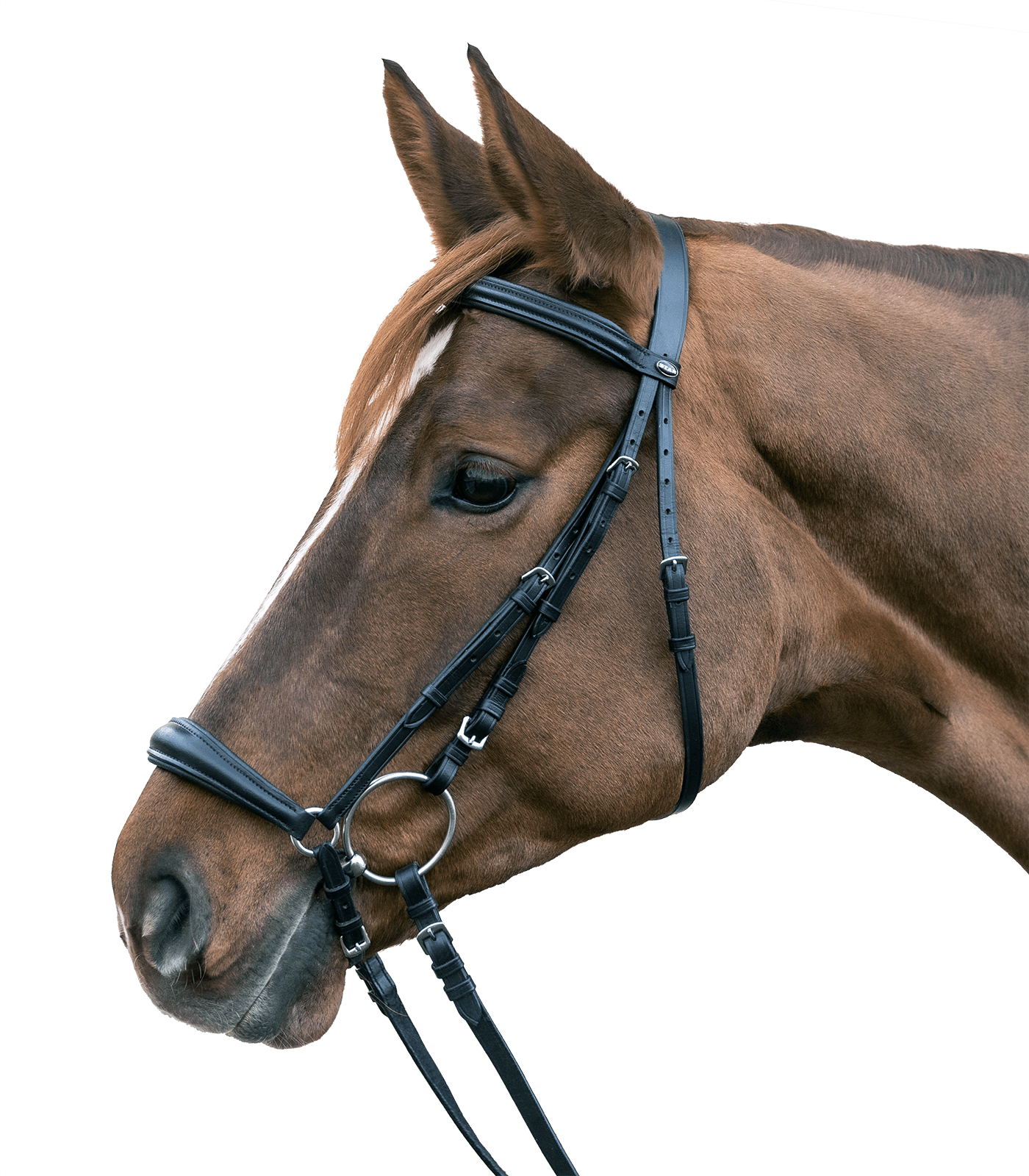 Waldhausen STAR Trensenzaum Hannover Waldhausen STAR Trensenzaum Hannover