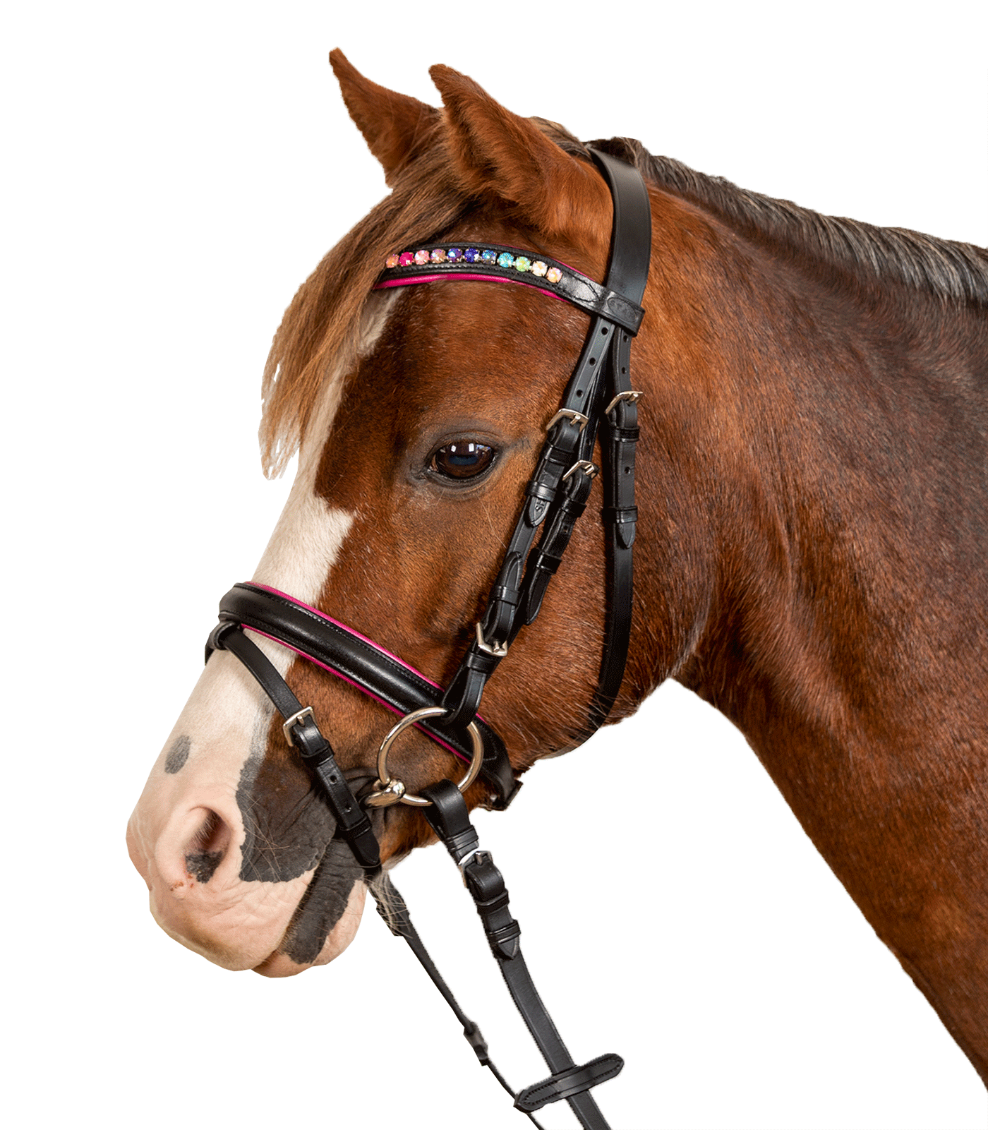 Waldhausen STAR Trensenzaum Pinky Waldhausen STAR Trensenzaum Pinky