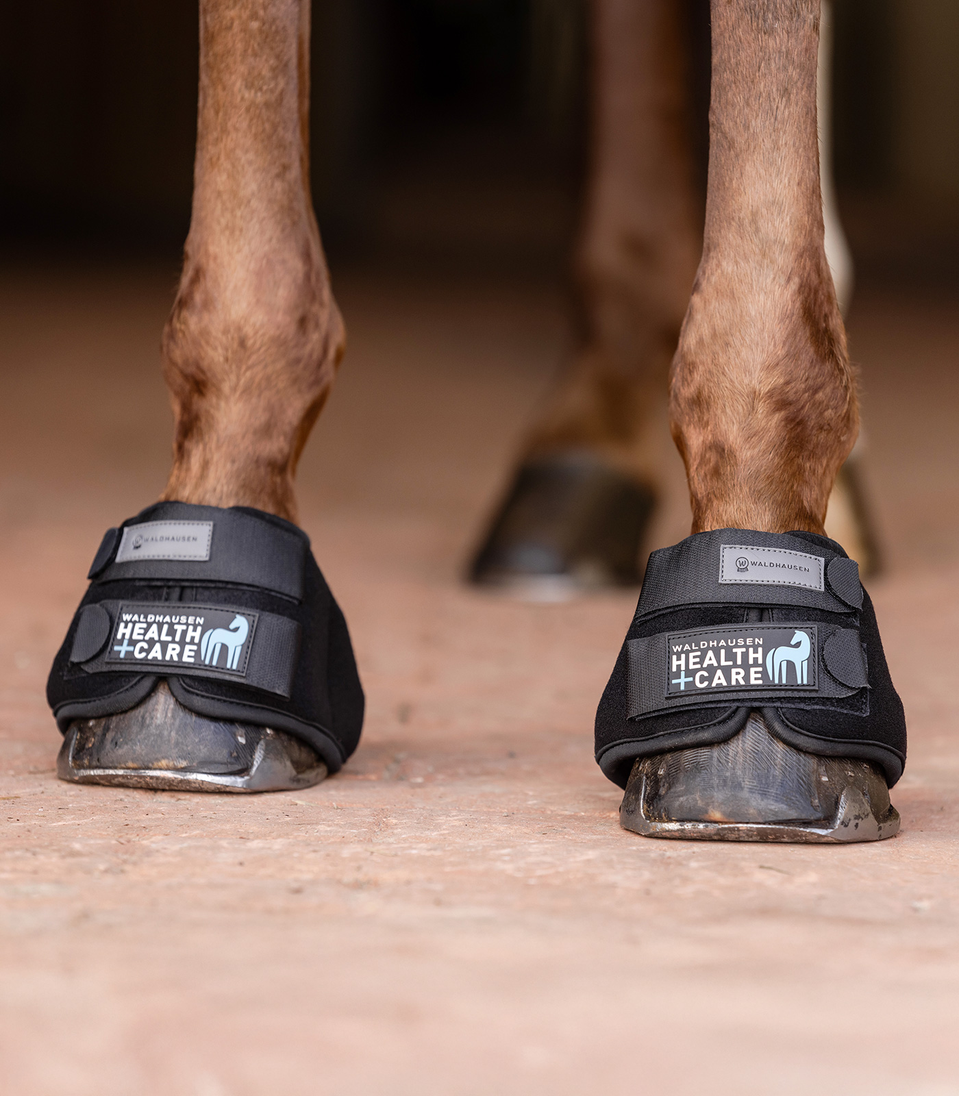 Waldhausen Waldhausen Health + Care Kühlhufglocken, Paar Waldhausen Waldhausen Health + Care Kühlhufglocken, Paar