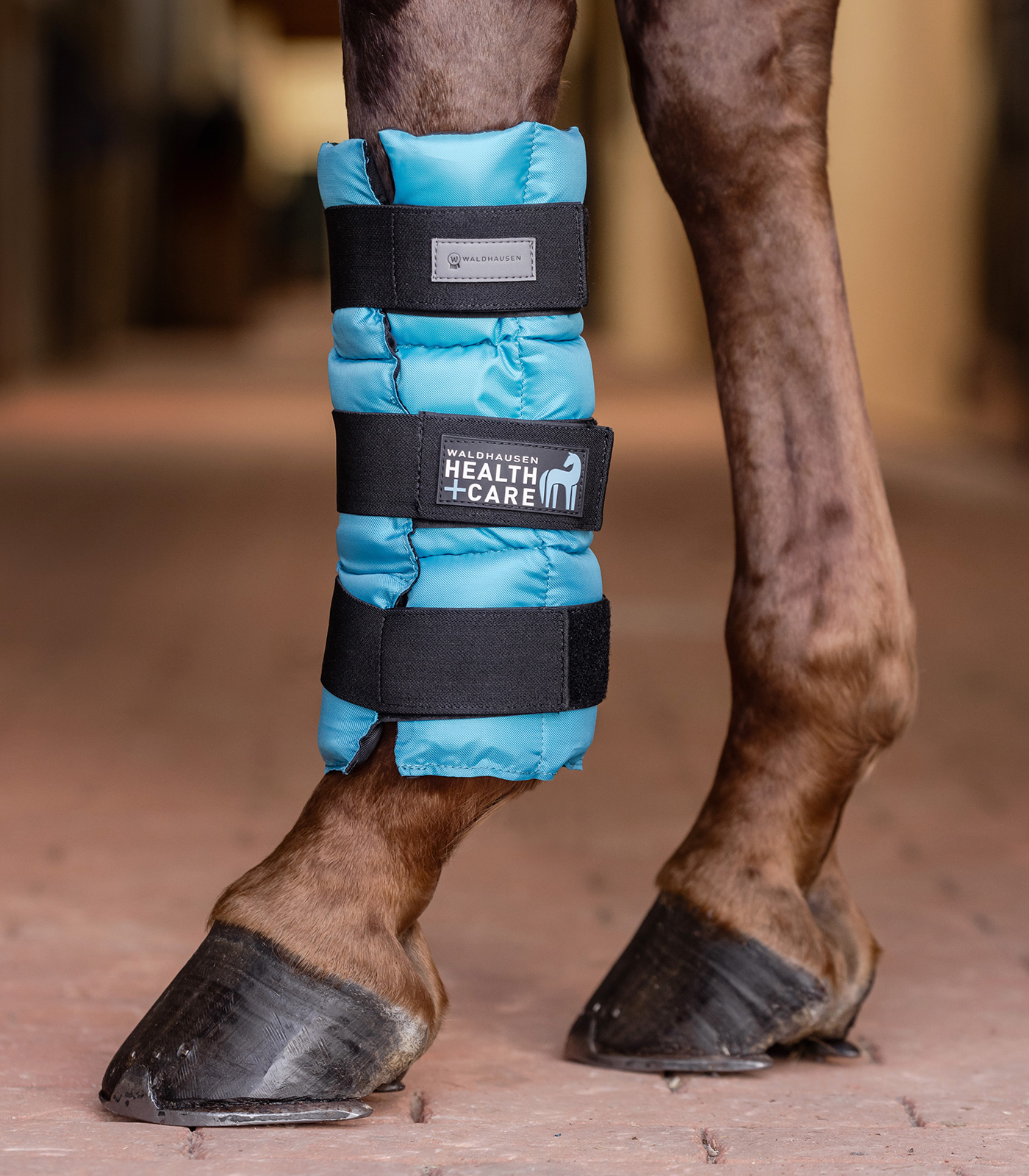 Waldhausen Waldhausen Health + Care Kühlgamasche, Stück Waldhausen Waldhausen Health + Care Kühlgamasche, Stück