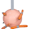 Karottenball Karottenball