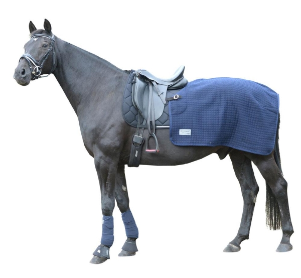 EQUEST Climatherm III | Nierendecke