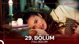 Calikusu – Episodi 29 me titra Shqip❤️ Calikusu – Episodi 29 me titra Shqip❤️
