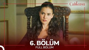Calikusu – Episodi 6 me titra Shqip❤️ Calikusu – Episodi 6 me titra Shqip❤️
