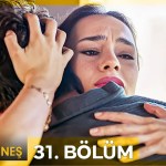 Ayazin sonu Gunes – Episodi 31 me titra Shqip❤️ Ayazin sonu Gunes – Episodi 31 me titra Shqip❤️