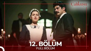 Calikusu – Episodi 12 me titra Shqip❤️ Calikusu – Episodi 12 me titra Shqip❤️