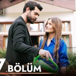 Kan Cicekleri 217 Kan Cicekleri 217