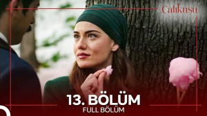 Calikusu – Episodi 13 me titra Shqip❤️ Calikusu – Episodi 13 me titra Shqip❤️