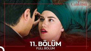 Calikusu – Episodi 11 me titra Shqip❤️ Calikusu – Episodi 11 me titra Shqip❤️