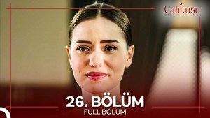 Calikusu – Episodi 26 me titra Shqip❤️ Calikusu – Episodi 26 me titra Shqip❤️