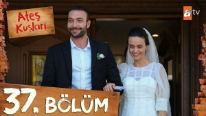 Ates Kuslari 37 Ates Kuslari 37
