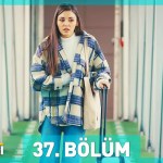 Sen Cal Kapimi – Episodi 37 me titra Shqip❤️ Sen Cal Kapimi – Episodi 37 me titra Shqip❤️