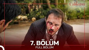Calikusu – Episodi 7 me titra Shqip❤️ Calikusu – Episodi 7 me titra Shqip❤️