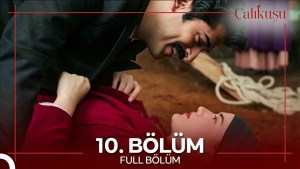 Calikusu – Episodi 10 me titra Shqip❤️ Calikusu – Episodi 10 me titra Shqip❤️