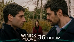 Ruzgarli Tepe – Episodi 36 me titra Shqip❤️ Ruzgarli Tepe – Episodi 36 me titra Shqip❤️