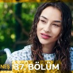 Ayazin sonu Gunes – Episodi 37 me titra Shqip❤️ Ayazin sonu Gunes – Episodi 37 me titra Shqip❤️