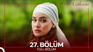 Calikusu – Episodi 27 me titra Shqip❤️ Calikusu – Episodi 27 me titra Shqip❤️