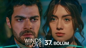 Ruzgarli Tepe – Episodi 37 me titra Shqip❤️ Ruzgarli Tepe – Episodi 37 me titra Shqip❤️