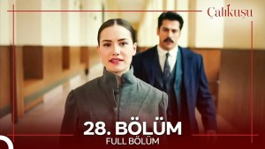 Calikusu – Episodi 28 me titra Shqip❤️ Calikusu – Episodi 28 me titra Shqip❤️