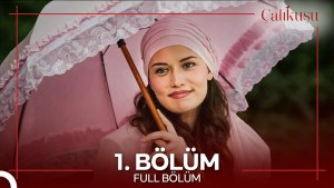 Calikusu – Episodi 1 me titra Shqip❤️ Calikusu – Episodi 1 me titra Shqip❤️