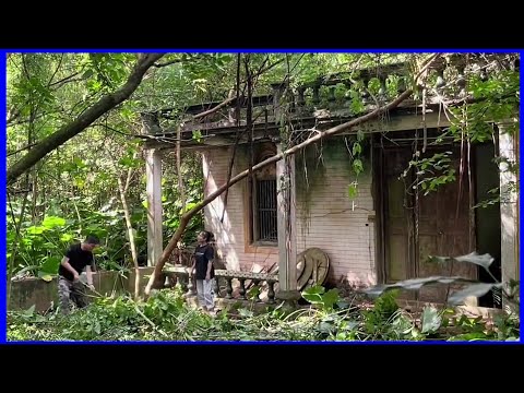 Home Remodeling & Renovation Ideas Home Remodeling & Renovation Ideas