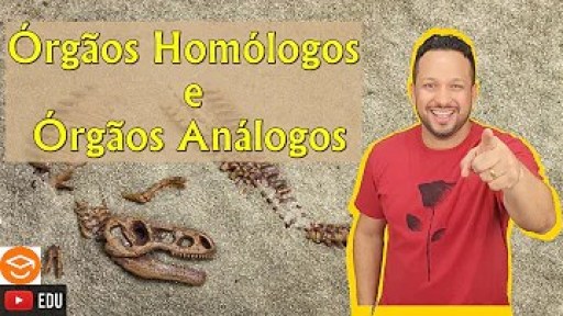 O que são órgãos homólogos e análogos? O que são órgãos homólogos e análogos?