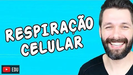 Em qual parte da mitocôndria ocorre a cadeia respiratória? Em qual parte da mitocôndria ocorre a cadeia respiratória?