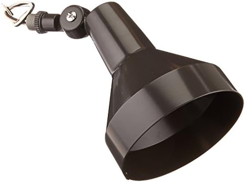 RAB Lighting H101A 150-watt Max. Par38 Landscape Lighting Flood Fixture 120-volt, Bronze RAB Lighting H101A 150-watt Max. Par38 Landscape Lighting Flood Fixture 120-volt, Bronze