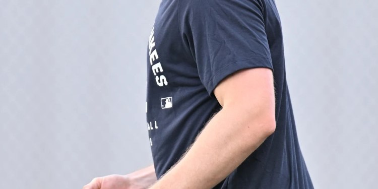 Yankees Monitor Potential Platoon Bat Options Yankees Monitor Potential Platoon Bat Options