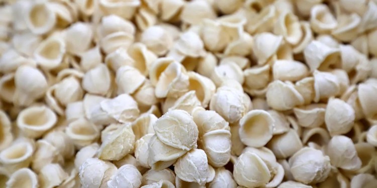 Minor League Results for April 15, 2026 Minor League Results for April 15, 2026