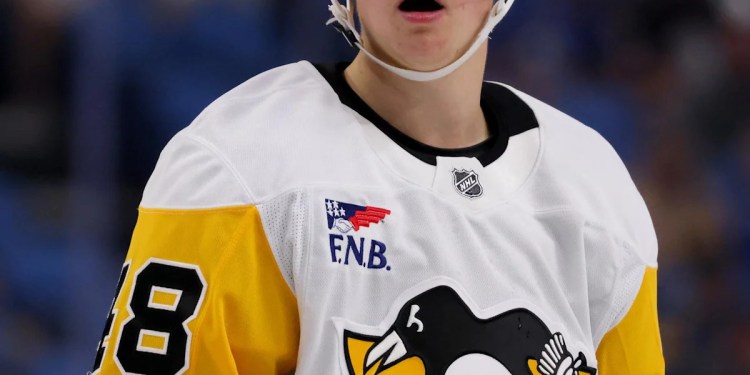 New Addition Could Impact Avalanche Performance New Addition Could Impact Avalanche Performance