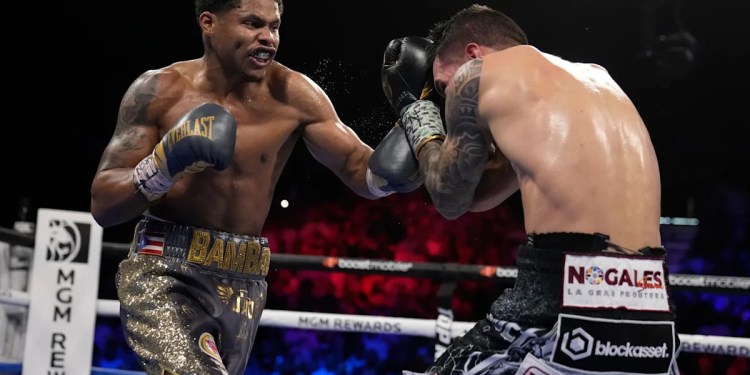 Madison Square Garden warns of lifetime bans for fights Madison Square Garden warns of lifetime bans for fights