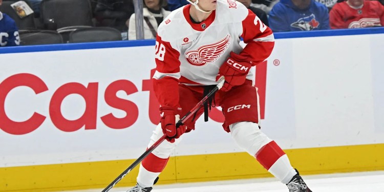 Red Wings Fans Concerned About Michael Brandsegg-Nygard’s Playing Time Red Wings Fans Concerned About Michael Brandsegg-Nygard’s Playing Time