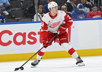 Red Wings Fans Concerned About Michael Brandsegg-Nygard’s Playing Time Red Wings Fans Concerned About Michael Brandsegg-Nygard’s Playing Time