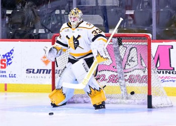 Wheeling Nailers Move to Second Round After Double OT Win Wheeling Nailers Move to Second Round After Double OT Win