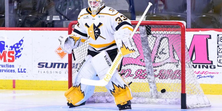 Wheeling Nailers Move to Second Round After Double OT Win Wheeling Nailers Move to Second Round After Double OT Win