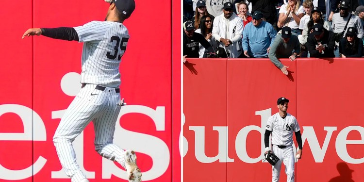 Cody Bellinger makes impressive catch for Yankees Cody Bellinger makes impressive catch for Yankees