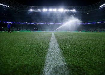 Fla urges CBF to standardize turf and ban artificial pitches Fla urges CBF to standardize turf and ban artificial pitches