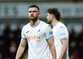 Brighton Interested in Signing 22-Goal Striker Brighton Interested in Signing 22-Goal Striker