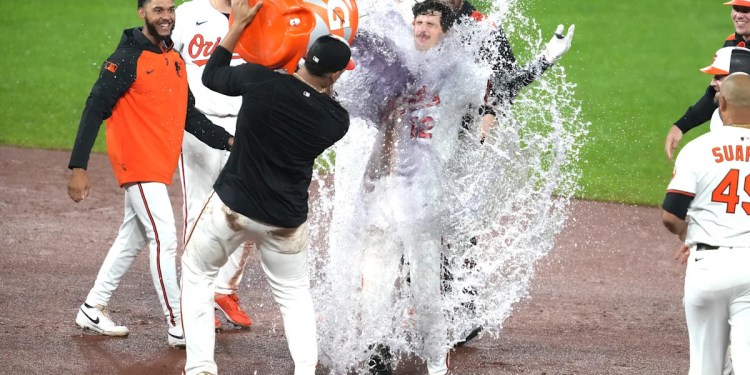 Defining a Successful Season for the Orioles Defining a Successful Season for the Orioles