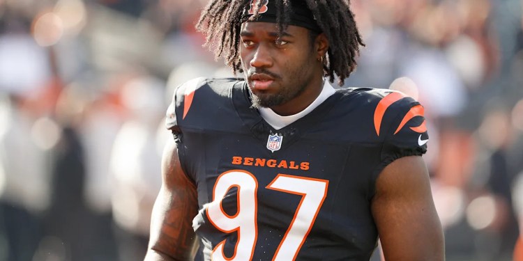 Bengals Add Depth to Roster Bengals Add Depth to Roster