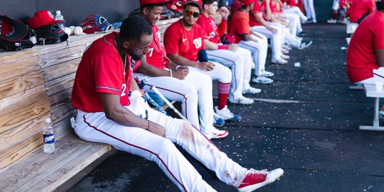 Washington Nationals Reveal Minor League Coaching Staffs Washington Nationals Reveal Minor League Coaching Staffs