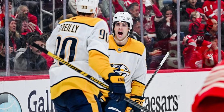 Red Wings Lose to Predators Due to Defensive Errors Red Wings Lose to Predators Due to Defensive Errors