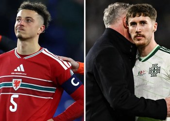 Wales vs Northern Ireland Match Preview Wales vs Northern Ireland Match Preview