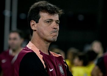 Diniz Criticizes Referee in Mirassol vs. Corinthians Match Diniz Criticizes Referee in Mirassol vs. Corinthians Match