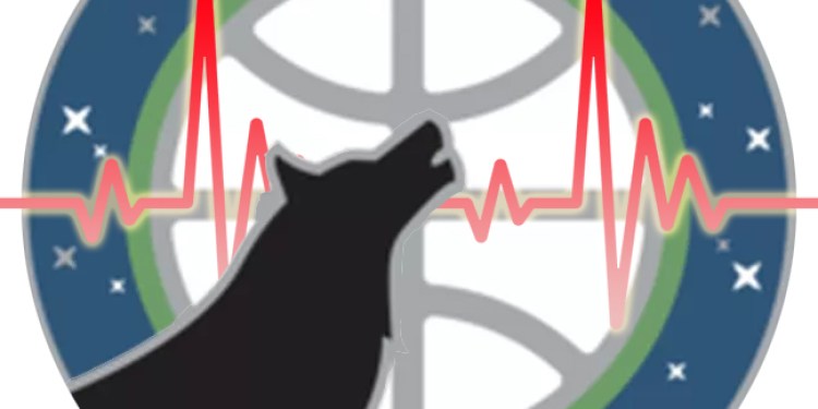 NBA Survey: Canis Pulsus Volume 46 Semester 1 Report Card Results NBA Survey: Canis Pulsus Volume 46 Semester 1 Report Card Results